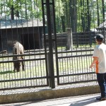 ZOO